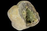 Yellow Crystal Filled Septarian Geode - Utah #98393-1